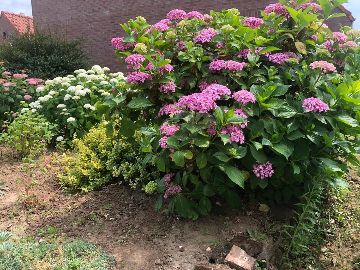 Laaker Villa Nearby Outlet Roermond Ohé en Laak المظهر الخارجي الصورة