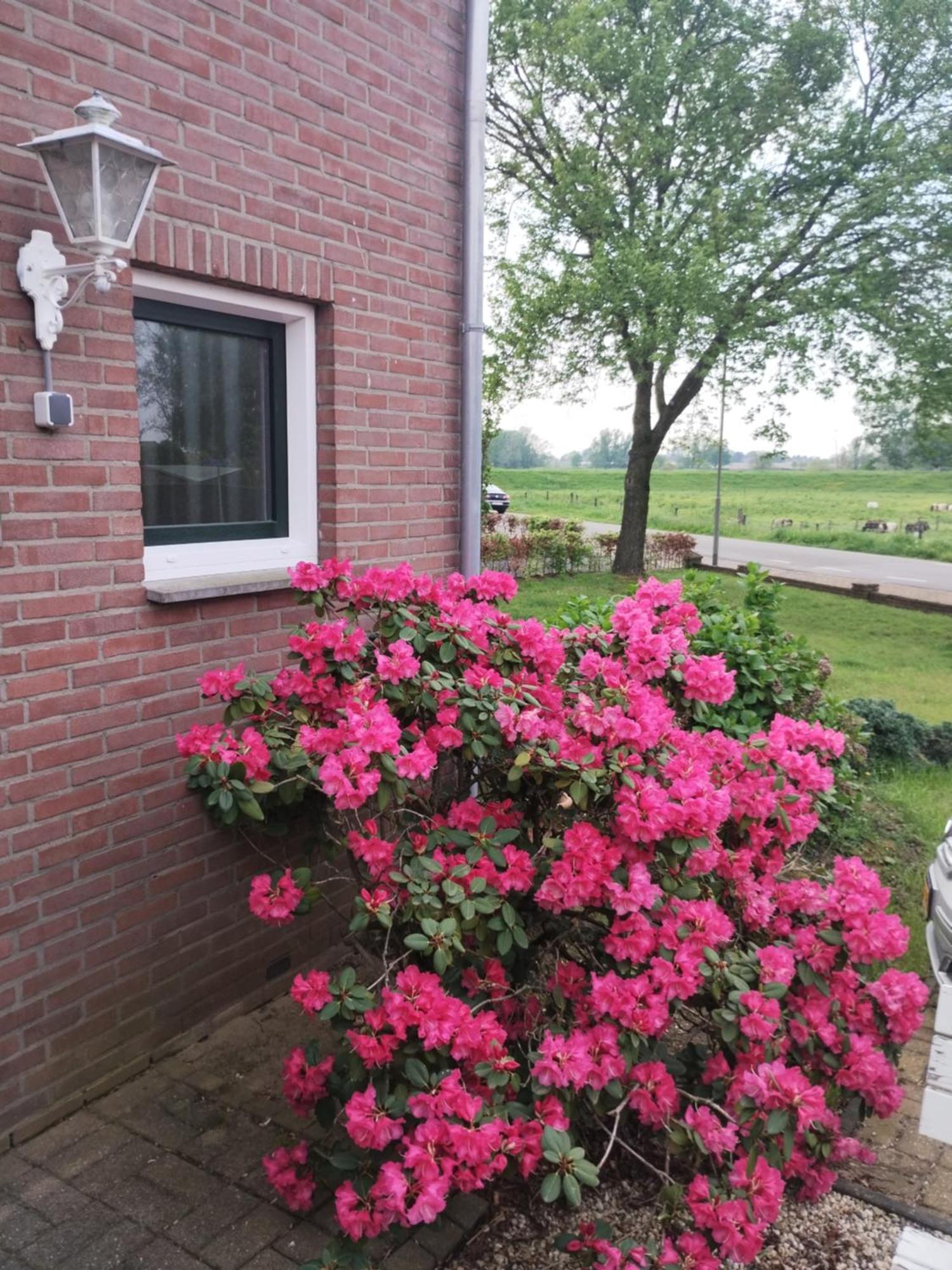 Laaker Villa Nearby Outlet Roermond Ohé en Laak المظهر الخارجي الصورة